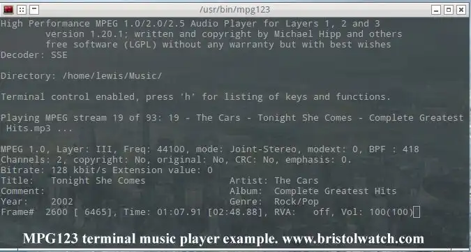 MPG123 audio player in terminal.