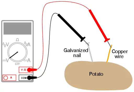 potato battery illustration